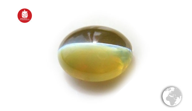 Cats Eye