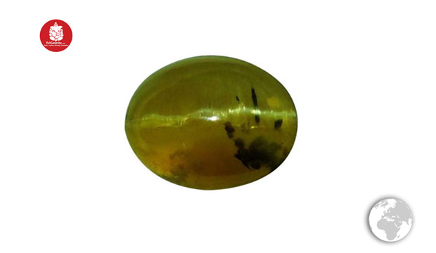Cats Eye2