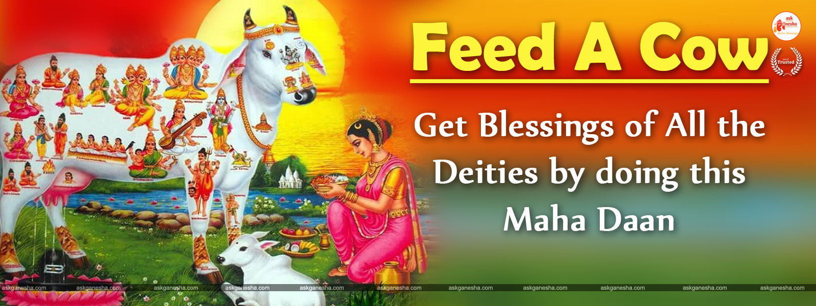 Feed A Cow