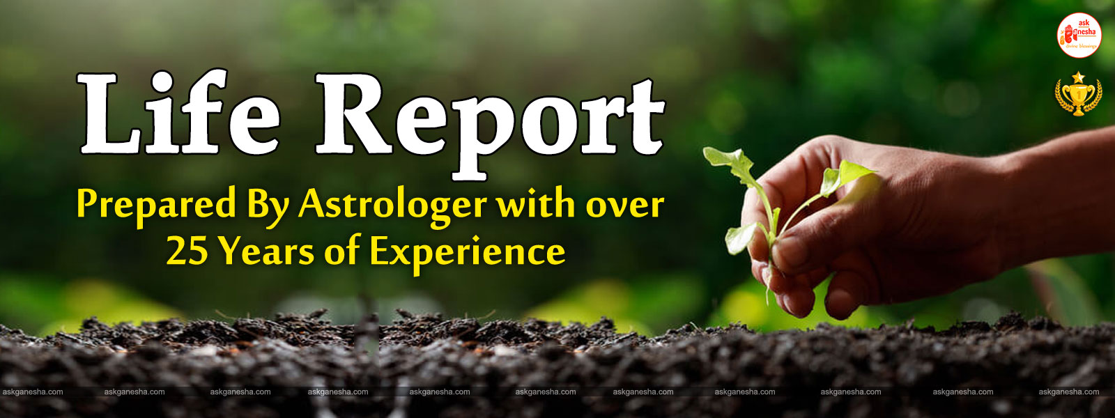 Life Astrology Report