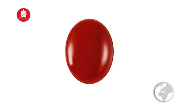 Red Coral