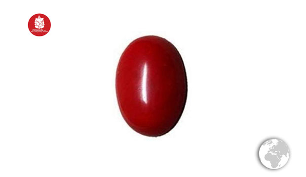 Red Coral2