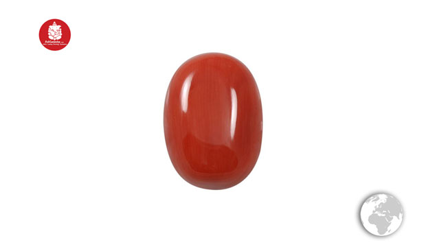 Red Coral3