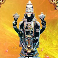 free sade saati check