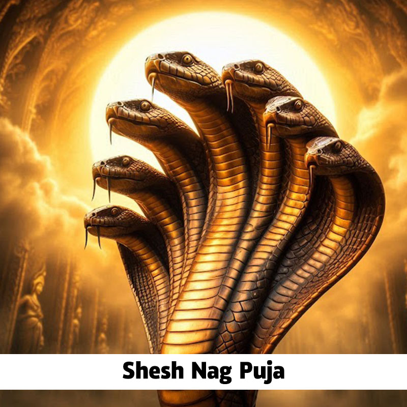Shesh Naag