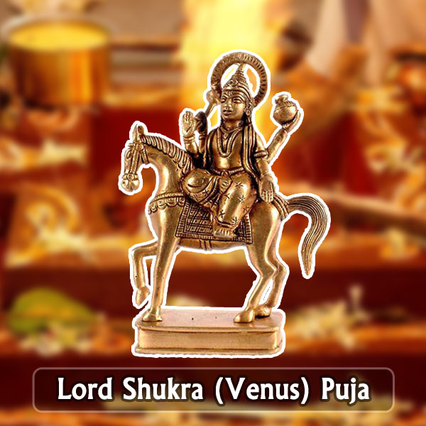 Shukra Venus Puja